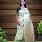 Pastel Green Color Banarasi Silk